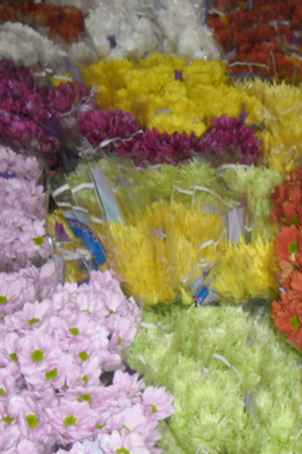 2photo3
