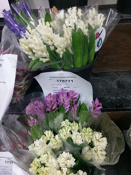photo2